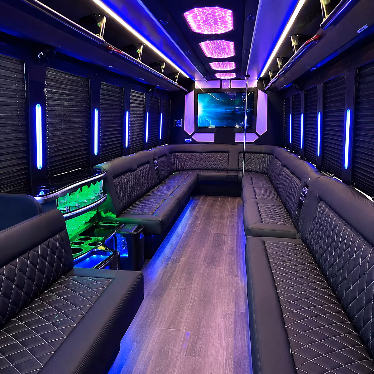 30 Passenger Party Bus Interior
