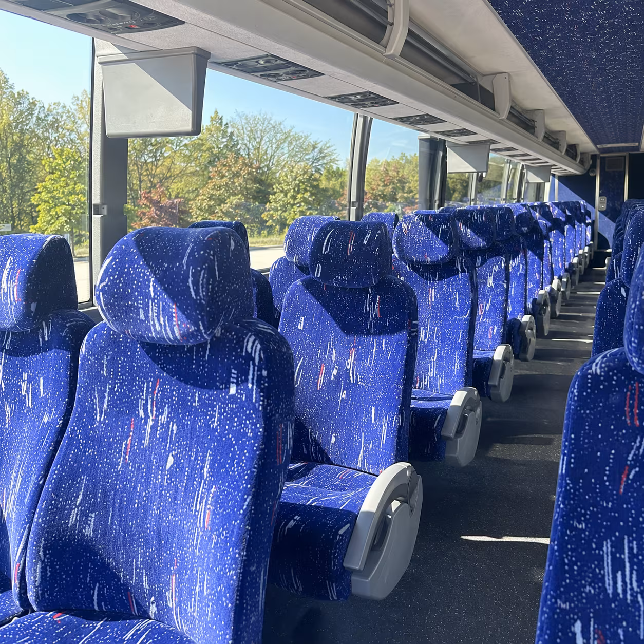 Elizabeth School Event Transportation party bus exterior